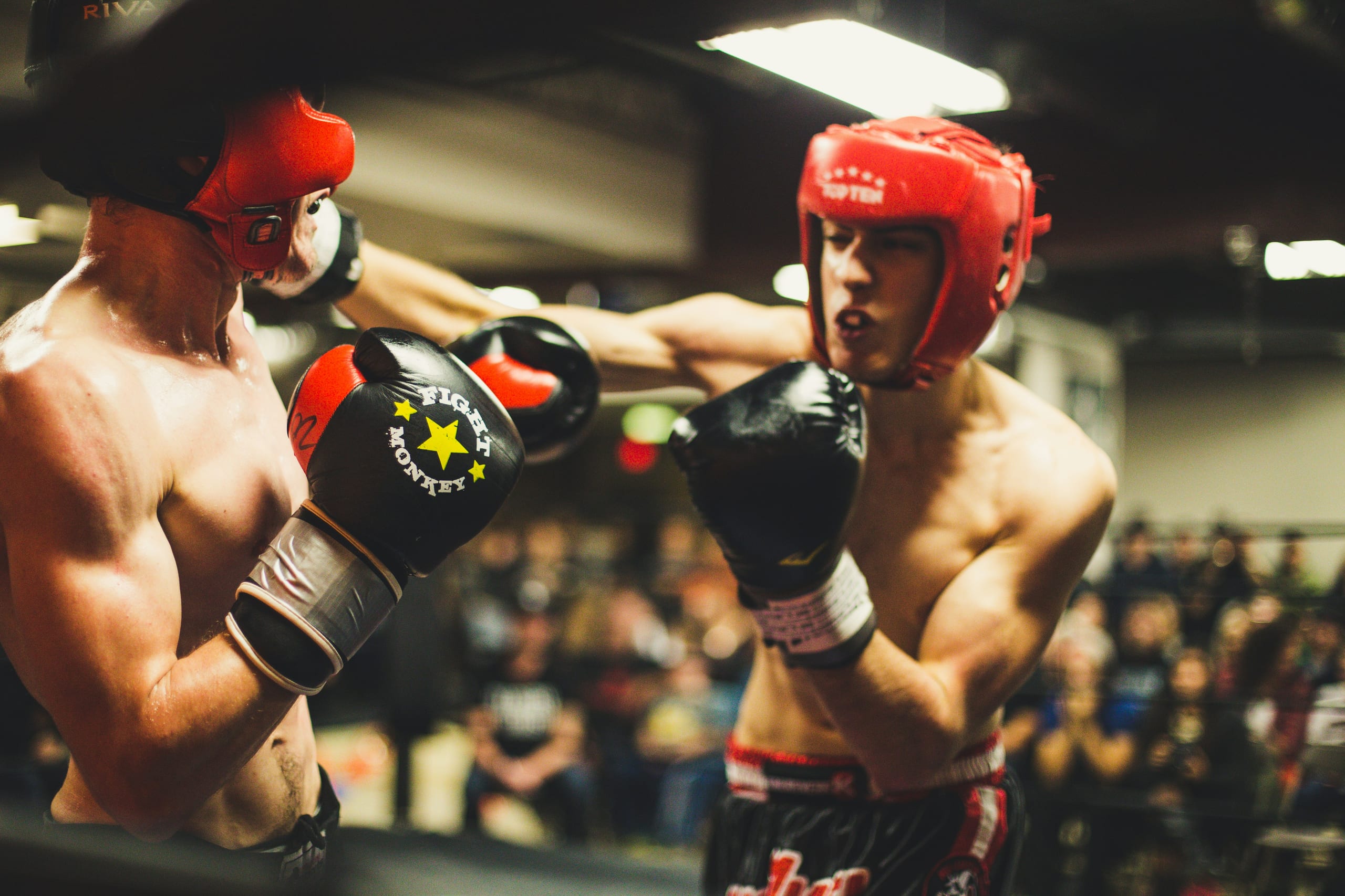 Cage Open-Face Headgear — Open-face sparring headgear with cheek and occipital protection and a clear sight line.