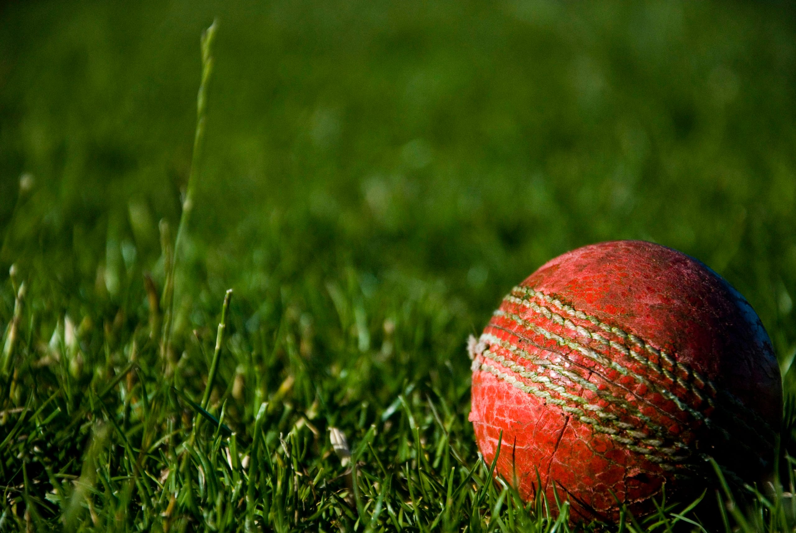 Cricket Equipment manufactured by VEXORA Sports