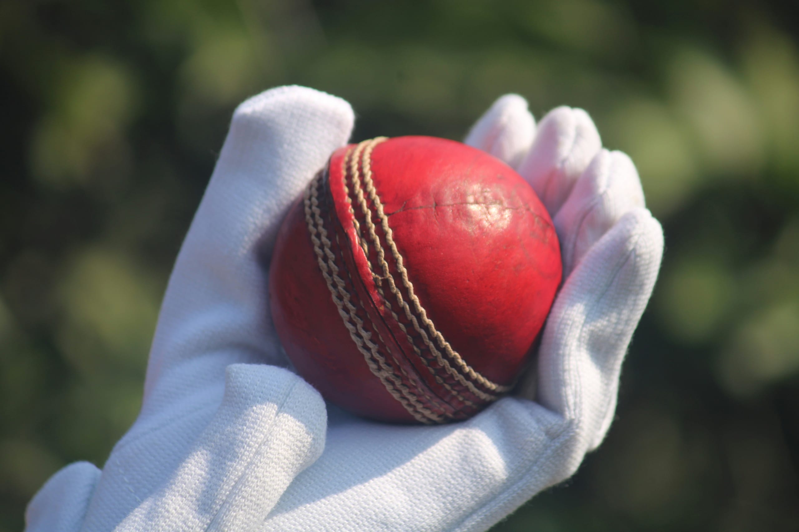Guardian Batting Gloves — Sheep-leather palm batting gloves with segmented HDF finger protection and towelling cuff.